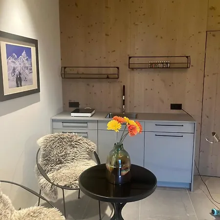 Kleines Chalet Hinterstoder Apartment Grossing